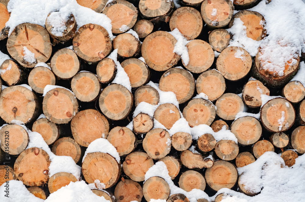 Stack of logs covered with snow close-up, logging