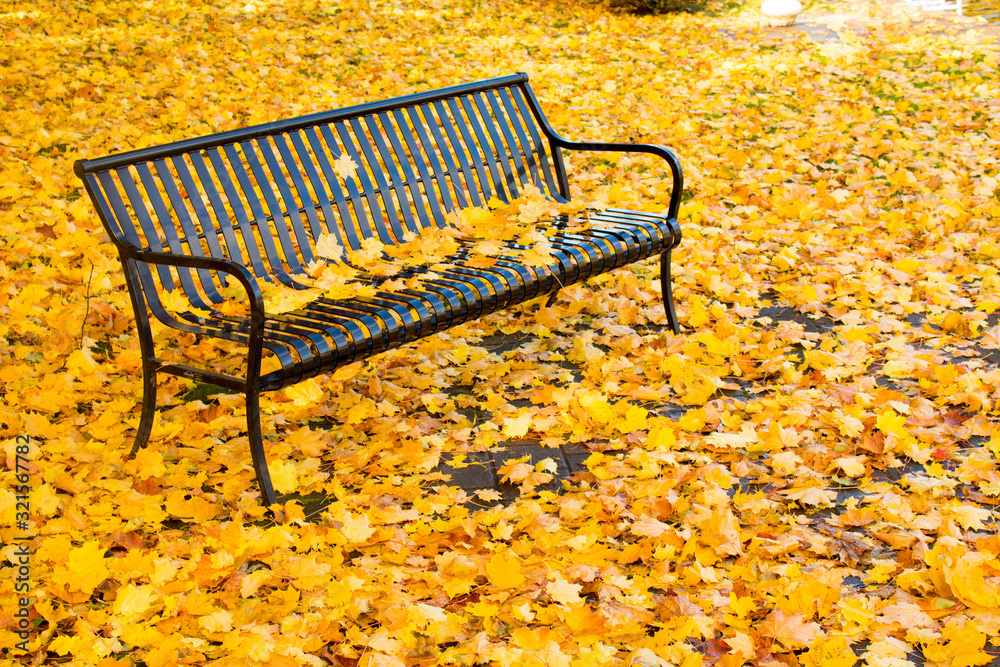 Iron bench covered in yellow autumn leaves Iron bench covered in yellow autumn leaves
