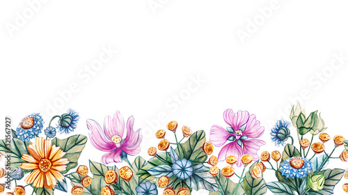 Seamless horizontal pattern of wildflowers. © Tatiana