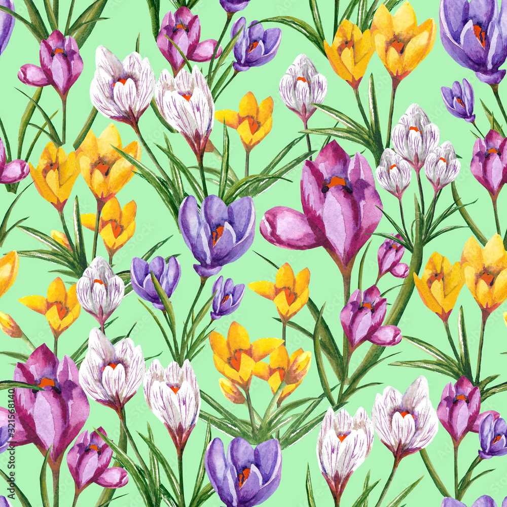Crocuses seamless pattern floral Crocuses seamless pattern floral