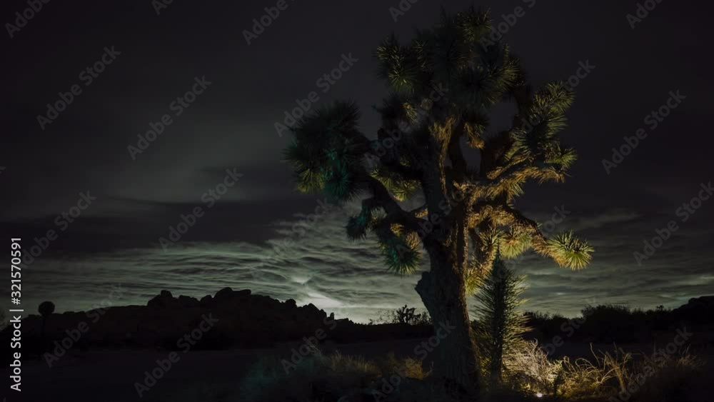 Time lapse of car light trails along highway in Joshua Tree National Park Time lapse of car light trails along highway in Joshua Tree National Park
