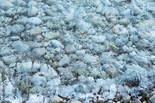 shore with stones