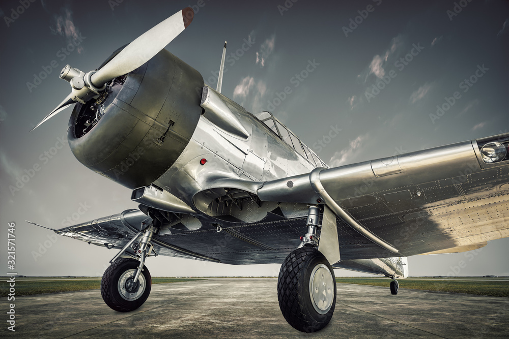 Fototapeta historical  aircraft on an airfield