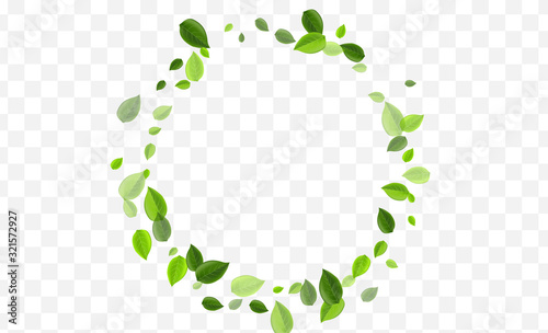 Mint Foliage Vector Design. Swamp Leaf Fresh 
