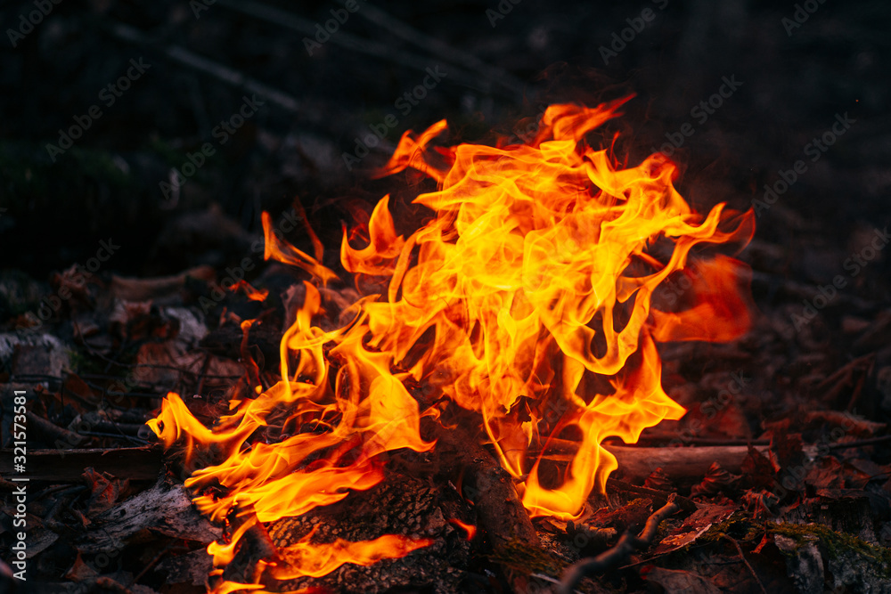 Burning wood at evening in the forest. Campfire at touristic camp at nature. Barbeque and cooking outdoor fresh air. Flame and fire sparks on dark abstract background. Concept of safety and Burning wood at evening in the forest. Campfire at touristic camp at nature. Barbeque and cooking outdoor fresh air. Flame and fire sparks on dark abstract background. Concept of safety and