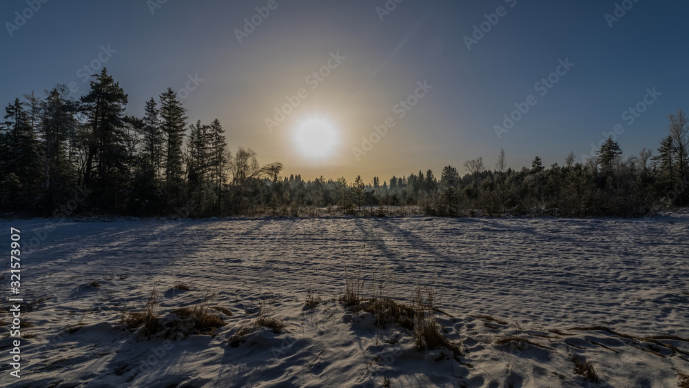 Bäume im Gegenlicht Sonnenaufgang Bäume im Gegenlicht Sonnenaufgang