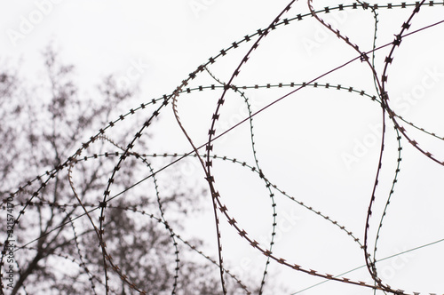 barbed wire on gray sky background photo