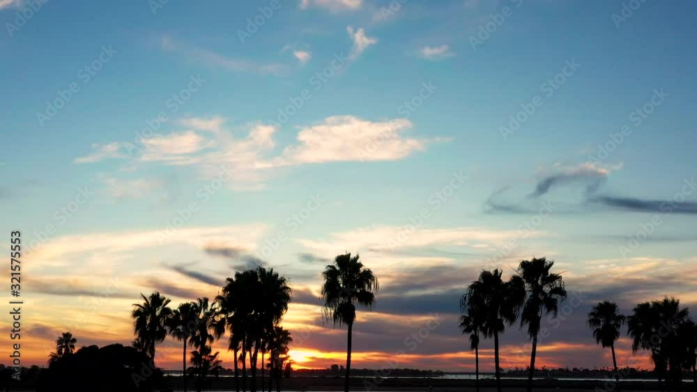 The Silhouette Of Palm Trees Underneath A Captivating Skyline - Slow Motion The Silhouette Of Palm Trees Underneath A Captivating Skyline - Slow Motion