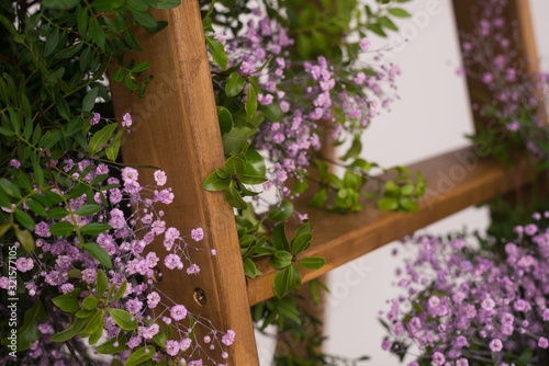 beautiful step ladder decorated with bushes of flowers on white background