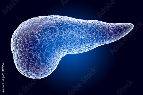 Pancreas, x-ray hologram. 3D rendering photo