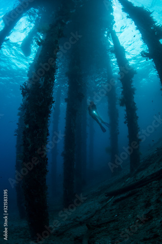 Diver underneath a jetty