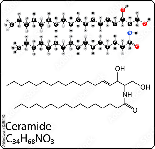 ceramide Molecule Structure photo