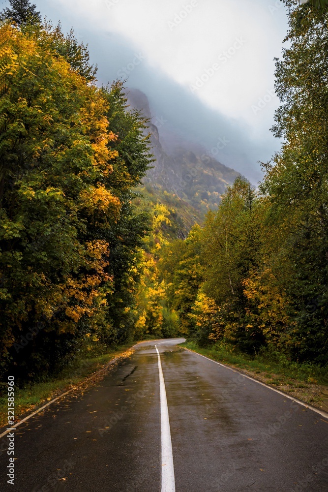 The road in the autumn forest. Travel across the North Caucasus The road in the autumn forest. Travel across the North Caucasus