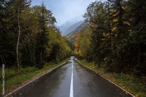 The road in the autumn forest. Travel across the North Caucasus