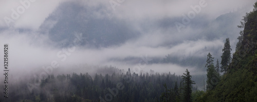 Slope overgrown with dense forest in the morning fog. Panorama landscape. Wild place in Siberia.