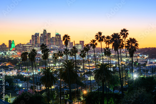 Los Angeles skyline and palm trees in foreground