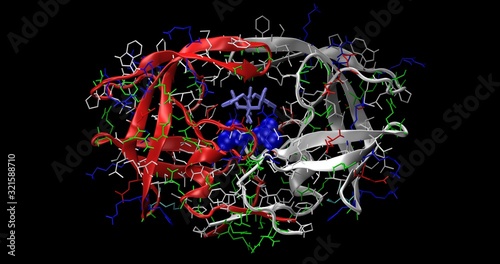 HIV-1 PROTEASE with Asp25 (VDW) with CYCLIC UREA INHIBITOR DMP450, chains A and B in blue and red,  3D molecule photo