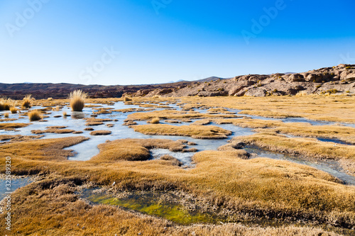 Beautiful bolivian landscape,Bolivia photo