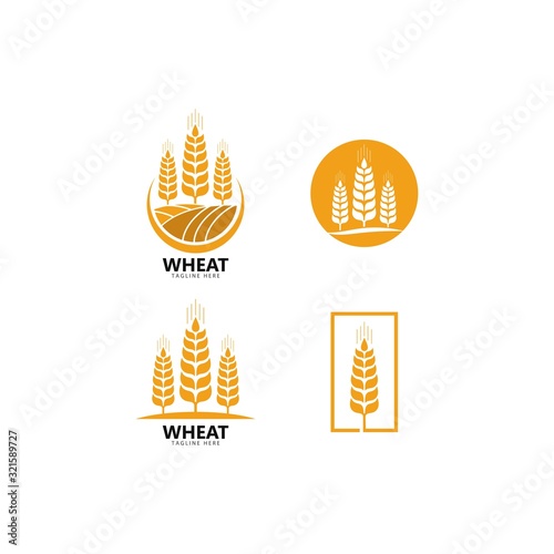 Agriculture wheat Logo Template vector icon