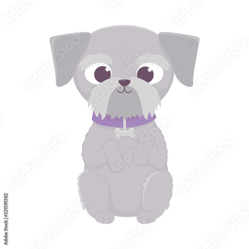 cute dog sitting domestic cartoon animal  pets