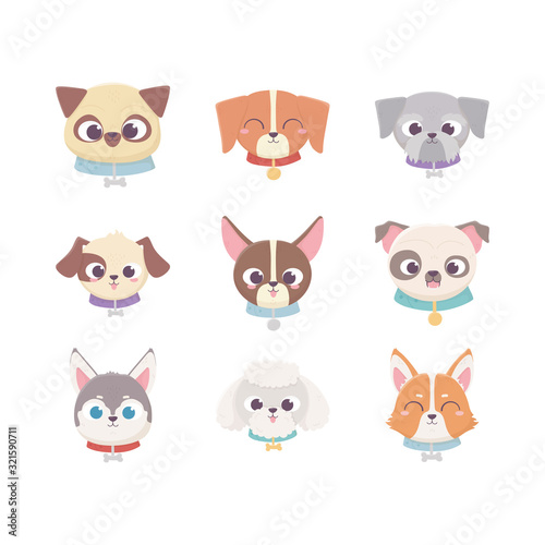 cute heads breeds domestic cartoon animal, set pets