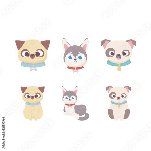 cute dog domestic cartoon animal  set pets