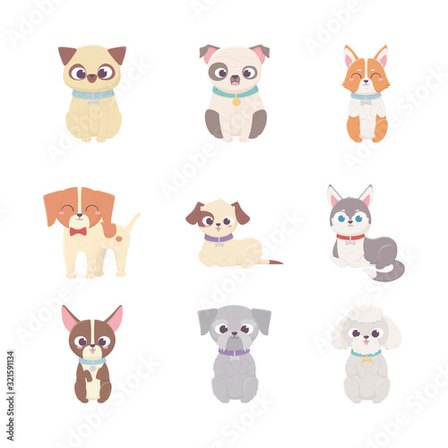 cute dog domestic cartoon animal, set pets
