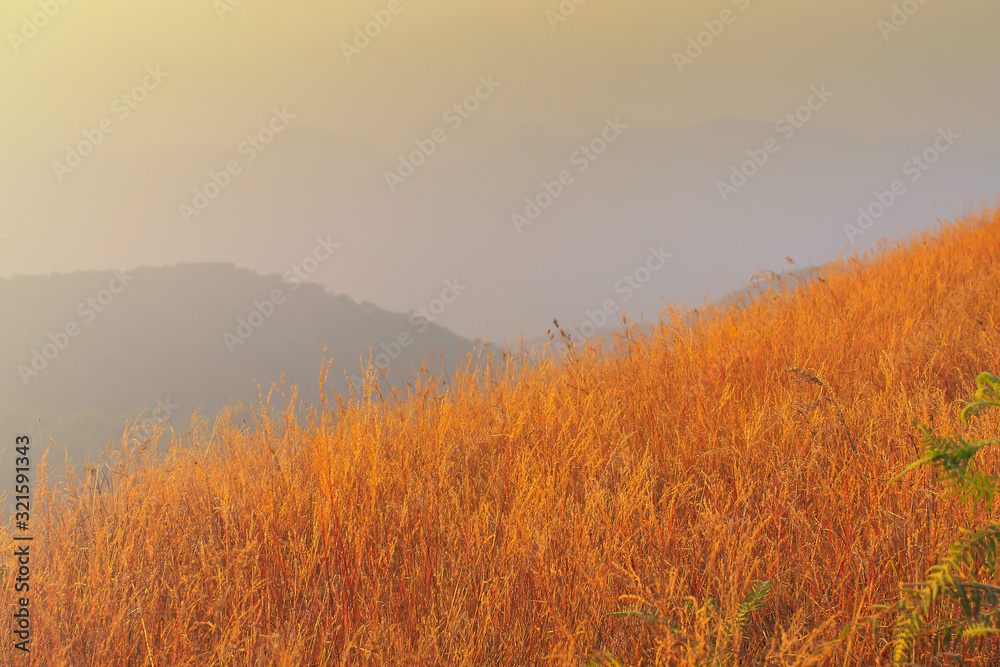 woman tourist standing against a background of mountains