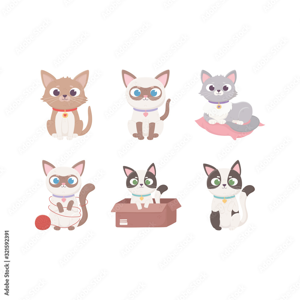 little cats different mascot domestic adorable animals, pets