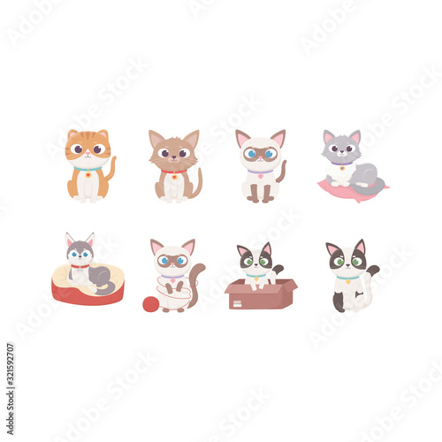 cute dog and cats different cartoon character animals, pets