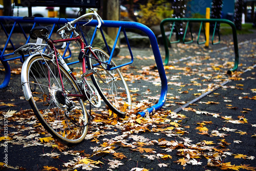 A Bicycle locked to a rack on side on street on a rainy day with yellow maple leaves on the ground