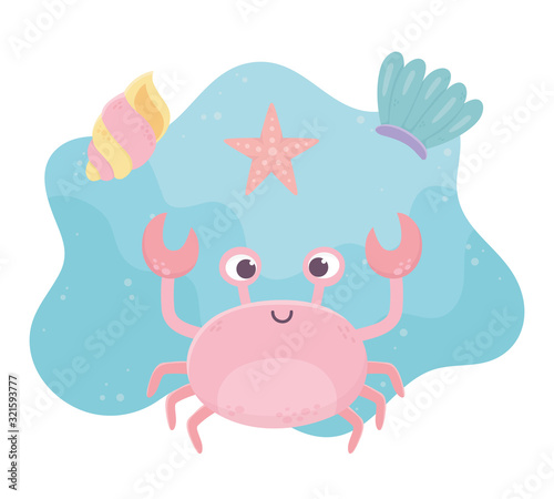 crab starfish and shell life cartoon under the sea