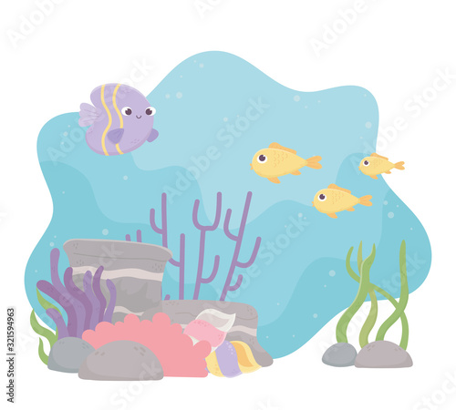 fishes life coral reef cartoon under the sea