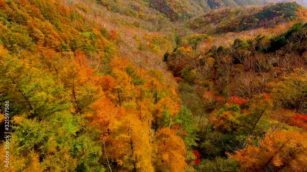 紅葉の奥日光の山並み空撮