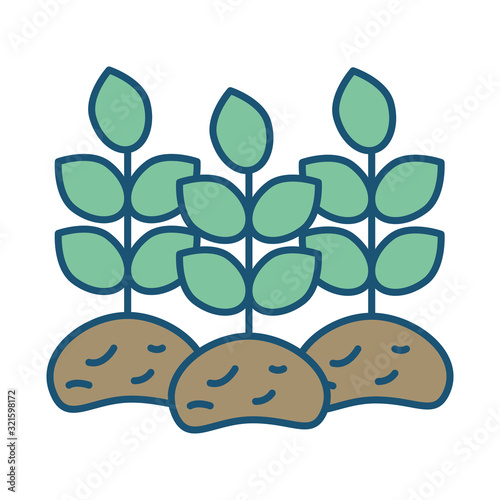 house plant cultivating isolated icon
