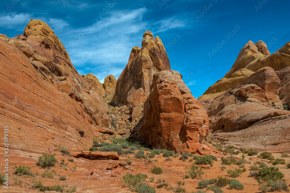 Fototapeta premium Nevada scenery