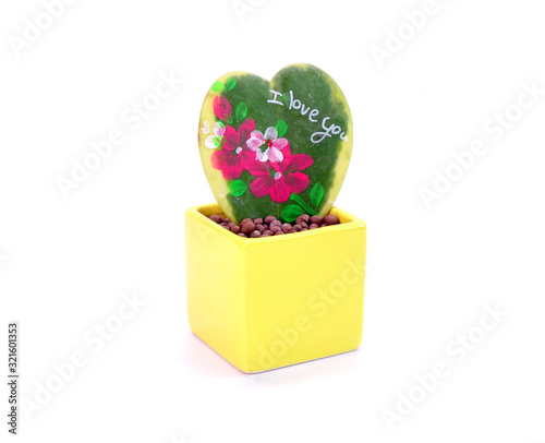 Potted plants of Heart shape leaf (Hoya Kerrii) with lovely painted for Valentines gifts Isolated on white background. DIY (Do It Yourself) ideas for making a lovely gift for Valentine’s Day. photo