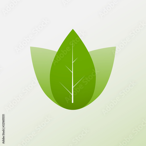 Minimalist green leaves