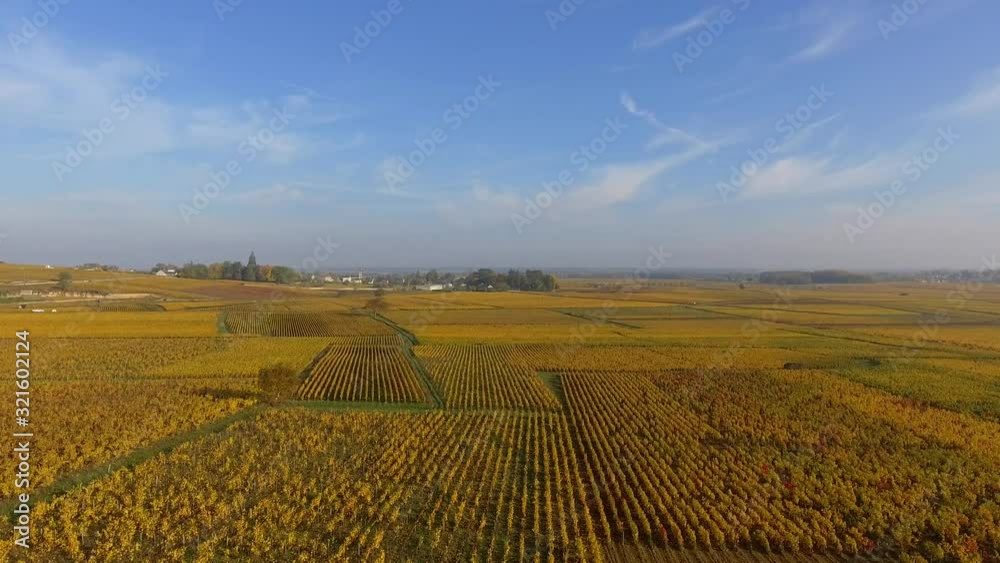 4K aerial descent on vineyard in fall - Burgundy 4K aerial descent on vineyard in fall - Burgundy