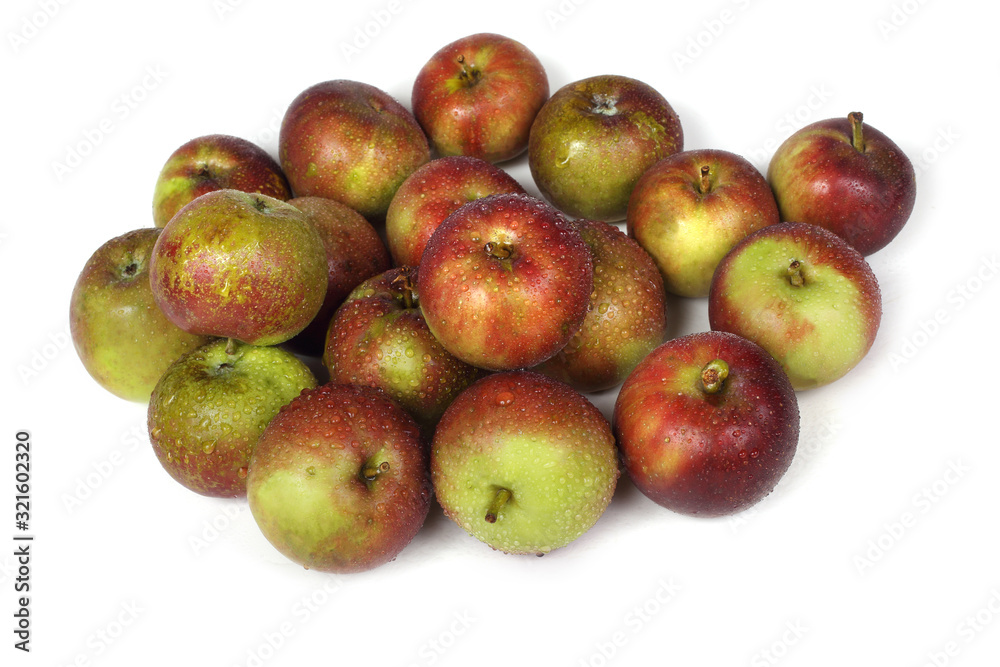 Organic apples isolated on white Organic apples isolated on white