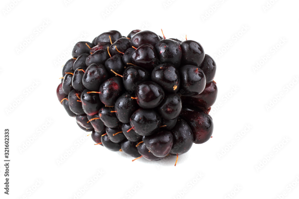 Blackberry isolated on white Blackberry isolated on white