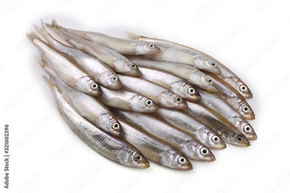 Smelt fish isolated on white. Pacific smelt variety Smelt fish isolated on white. Pacific smelt variety