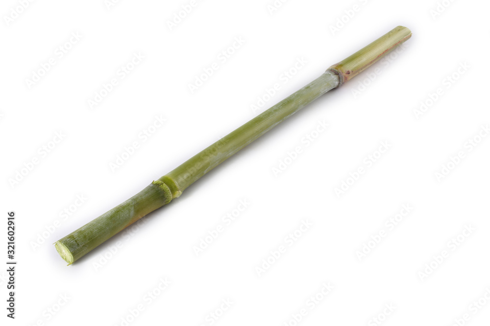 Sugar cane isolated on white Sugar cane isolated on white