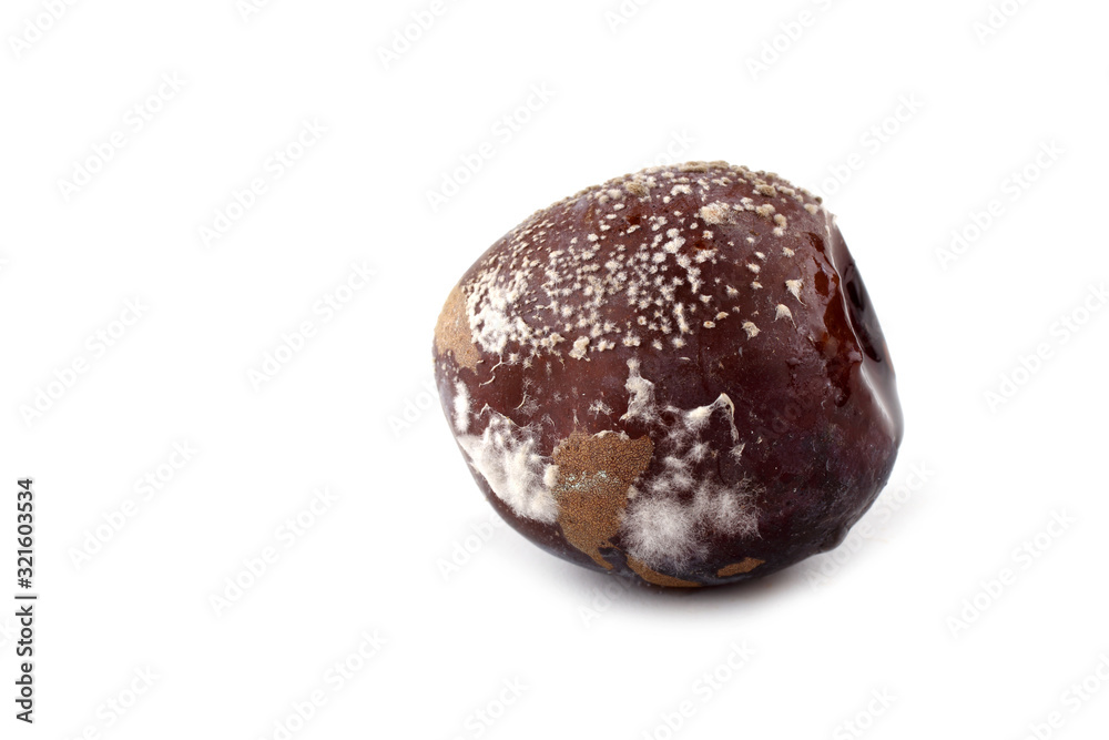 Rotten plum isolated on white Rotten plum isolated on white