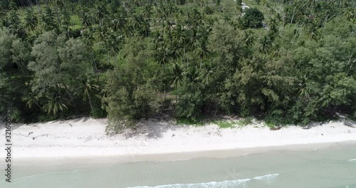 Sea shore white snad beach with green palm tree island aerial view summer vacation photo