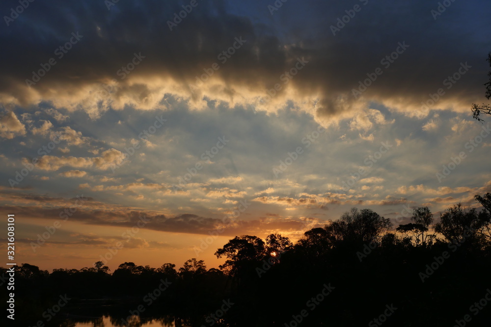 Silhouette of trees with beautiful sky at sunrise, Photos back - light at the horizon began to turn gold color at morning , Fluffy cloud formations at tropical zone