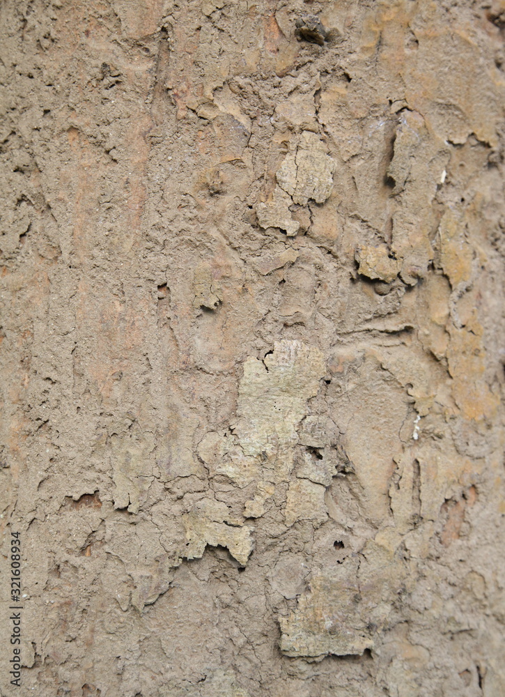 Old, rough textured, knotted, weathered, rotten, cracked, plank - knot detail. Old, rough textured, knotted, weathered, rotten, cracked, plank - knot detail.