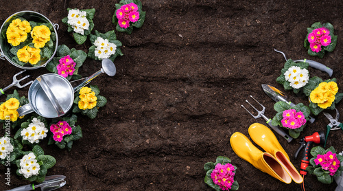 Fototapeta Naklejka Na Ścianę i Meble -  Gardening Tools And Flowerpots In Garden