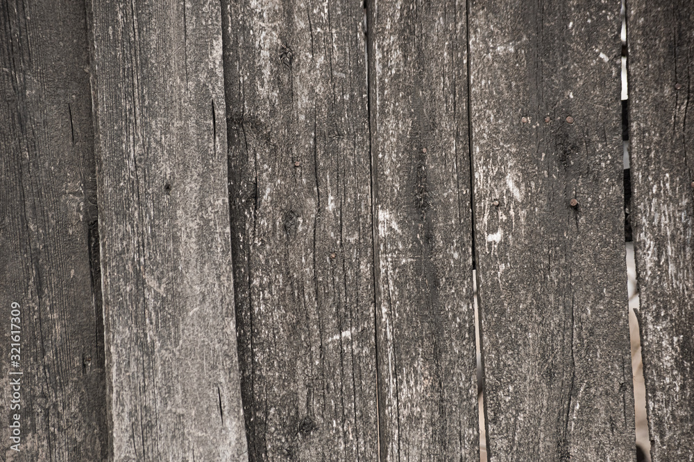 Fototapeta premium Texture of a wooden worn scratched fence