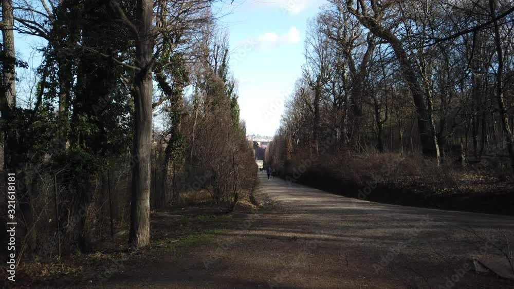 Great view thru an hidden path thru a forest in the center of vienna, austria Great view thru an hidden path thru a forest in the center of vienna, austria